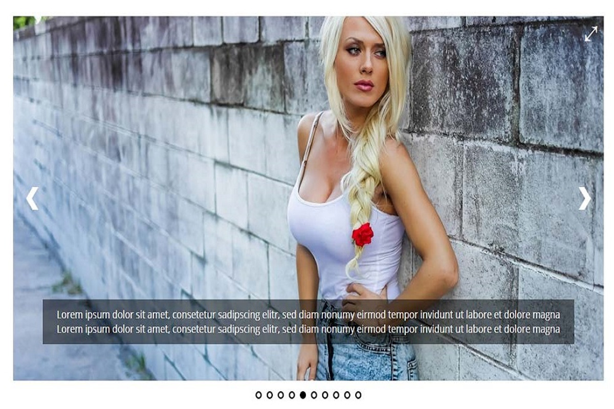 Ultimate Responsive Image Slider Pro preview 7