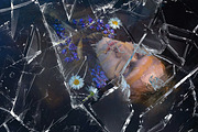 10 Crystal PSD Text Effect+Textures, a Texture Graphic by Lostkids (Thumbnail 4 of 8)
