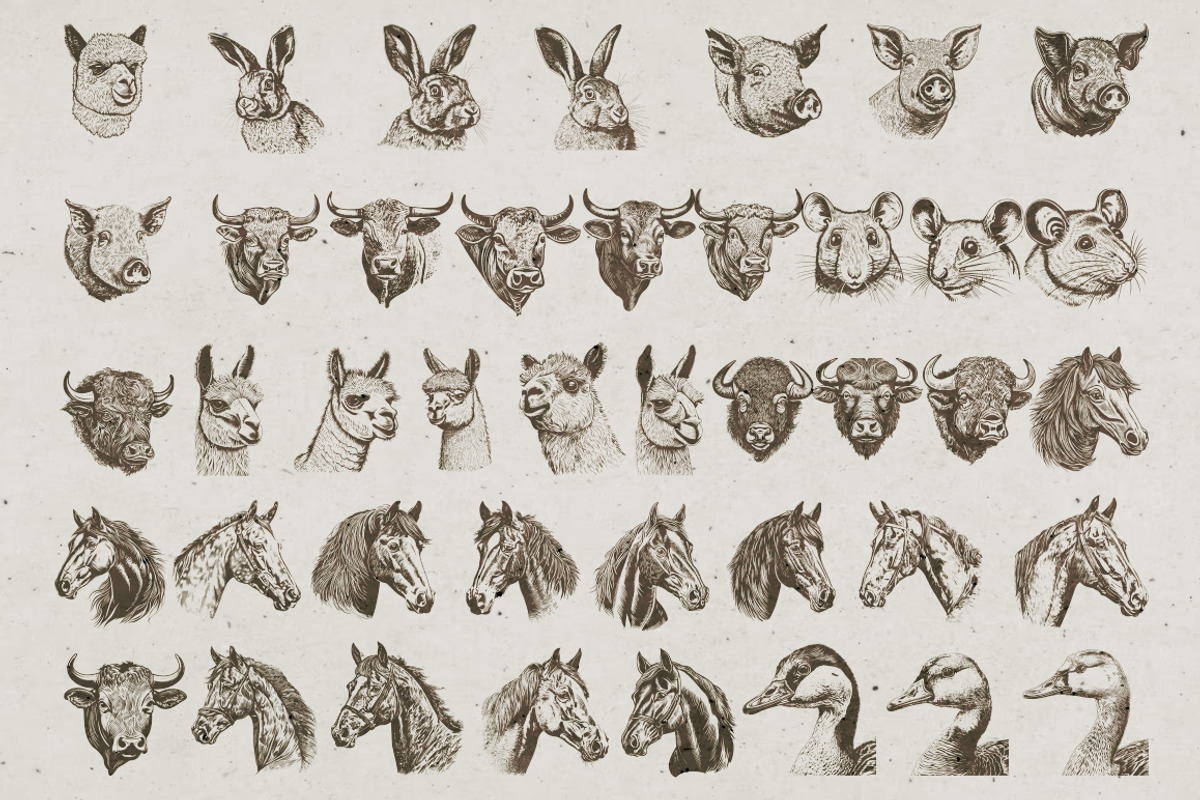 Farm Animals Illustrations, an Animal Illustration by Nocturnal Wolf (Photo 4 of 14)