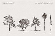 Hand-Drawn Trees Illustration Set, an Object Graphic by TheMountBirdStudio (Thumbnail 5 of 6)