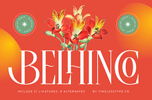 Belhinco Luxury Display Serif Font
