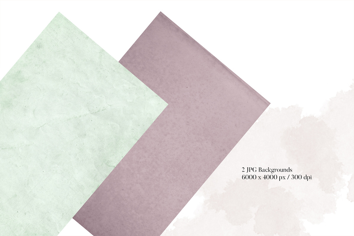 Isolated real flowers clipart set, an Object Graphic by The Graphic Parade (Photo 8 of 14)