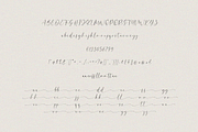 Willowshine Calligraphy Font, a Script Font by Pen Culture (Thumbnail 9 of 9)