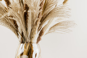 Bouquet of decorative dried pampas g, a Nature Photo by Edalin's Store