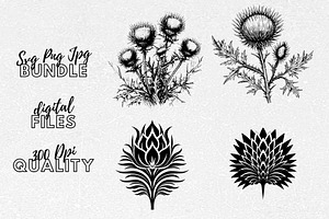 Thistle SVG - Thistle Clipart, an Illustration by YouniqueArtwork