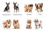 Toy Group Dogs Illustrations Clipart, an Animal Illustration by BrushstrokeArtGB (Thumbnail 4 of 9)