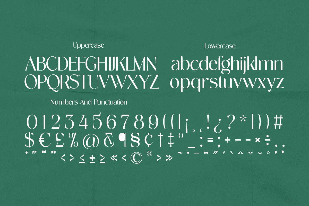 Novalisse, a Sans Serif Font by Pista Mova (Photo 15 of 16)