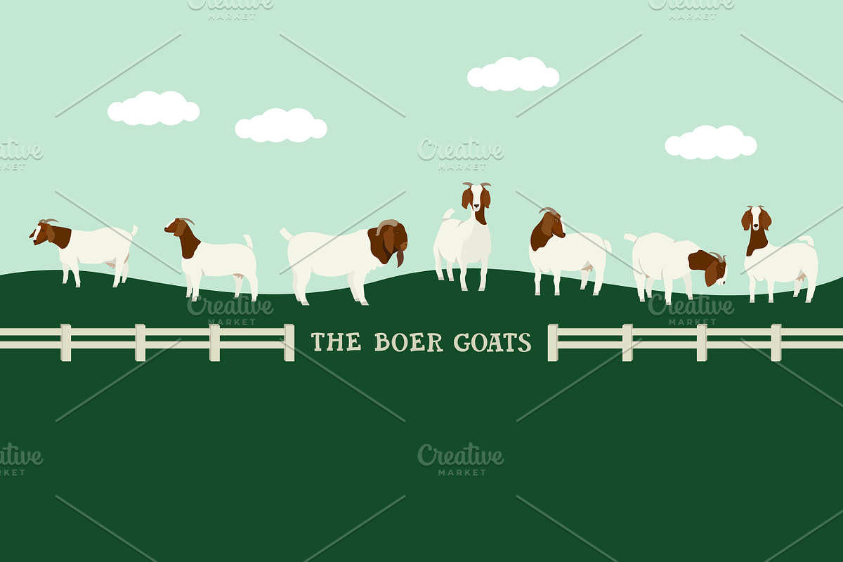 The boer goats, an Animal Illustration by Nenilkime (Photo 1 of 4)
