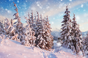 Snow Photoshop Action, an Action Add-On by LUXDesignStudios (Thumbnail 6 of 7)