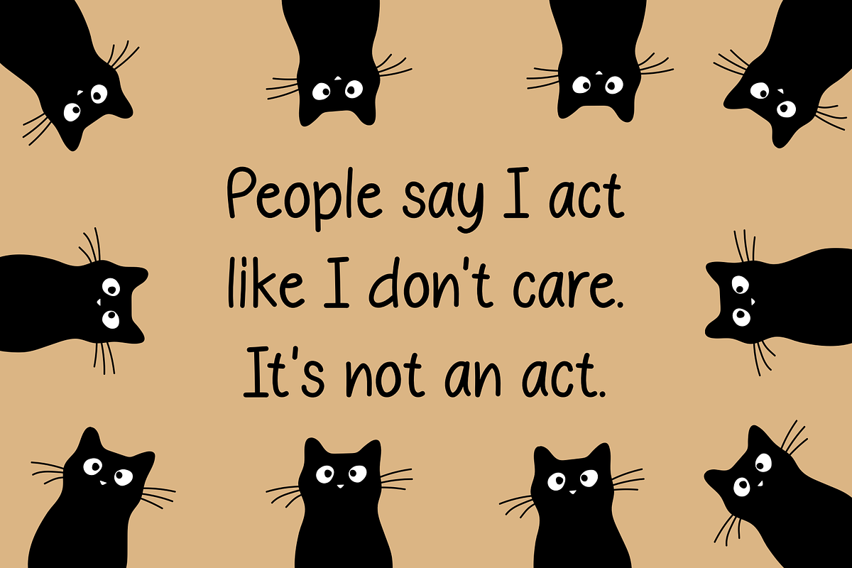 Black Cat Font, a Font by MyFontsShop (Photo 2 of 6)
