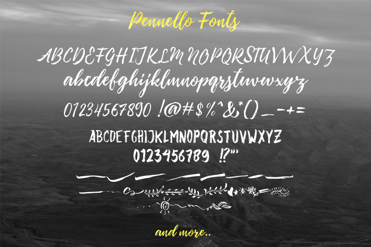 Pennello Script, a Script Font by QueenType (Photo 10 of 10)