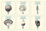 VECTOR SEASHELL HAND DRAWN BUNDLE 22, an Illustration by pawellpi (Thumbnail 3 of 10)