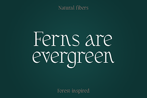 Fernhead Decorative Serif Font