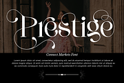 Connect Markets - Modern Serif Font, a Serif Font by 177Studio (Thumbnail 2 of 8)