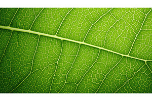 veins green carbon texture ai, a Background Photo by pikepicture