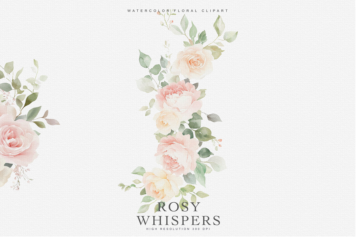 Watercolor Soft Blush Roses, a Decorative Illustration by Patishop Art (Photo 4 of 7)