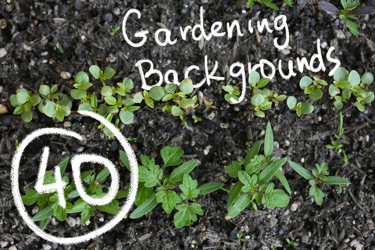 40 Gardening Backgrounds, a Nature Photo by Pullia (Photo 1 of 6)