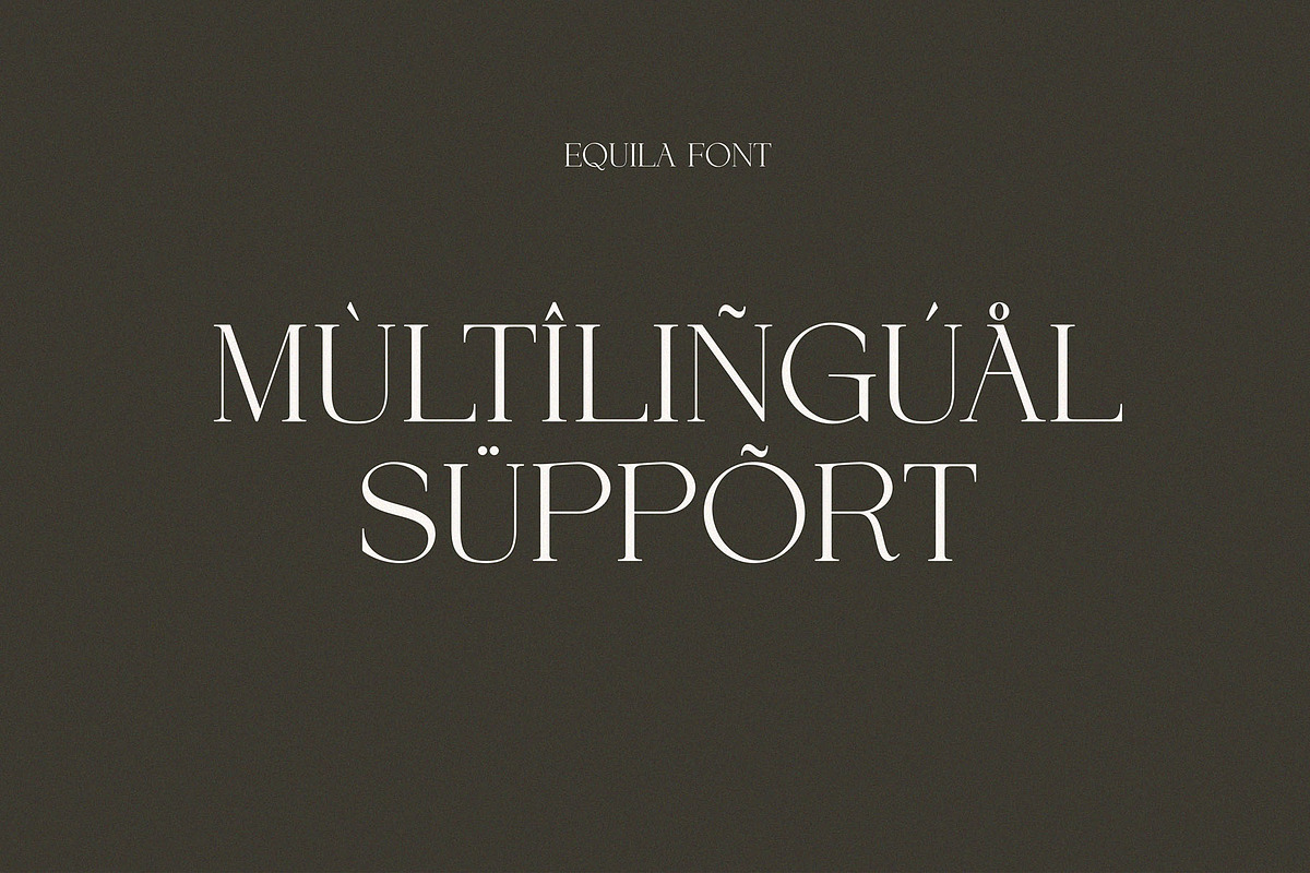 Equila || Display Ligature Serif, a Serif Font by ToniStudio (Photo 9 of 10)