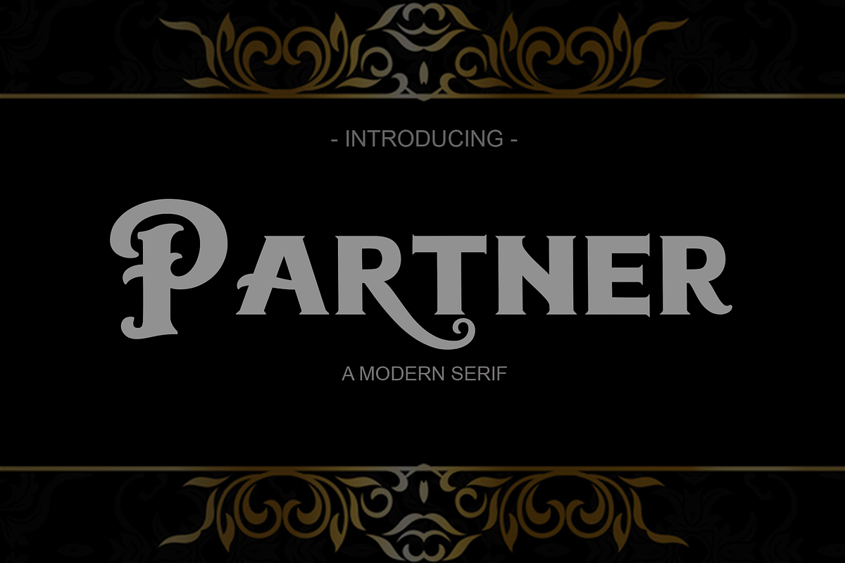 Partner | Serif, a Serif Font by Naqsya.Co (Photo 1 of 8)