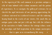 Vittorika Modern Serif Font, a Serif Font by Letterena Studios (Thumbnail 7 of 15)