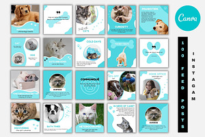 PETS INSTAGRAM FEED AND STORIES