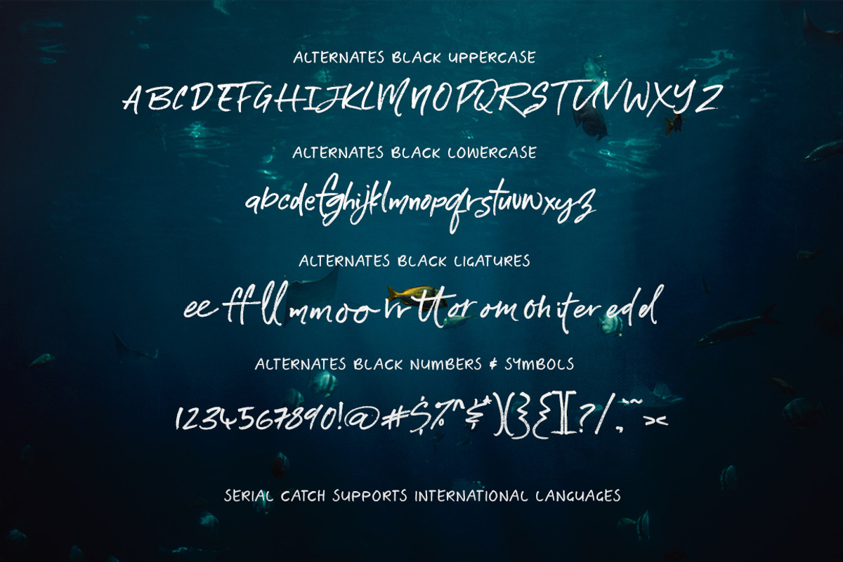 Serial Catch Font, a Script Font by Creativeqube Design (Photo 21 of 22)