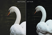 290 Matte Lightroom Presets Bundle, an Action Add-On by RamsaGraphi (Thumbnail 5 of 12)