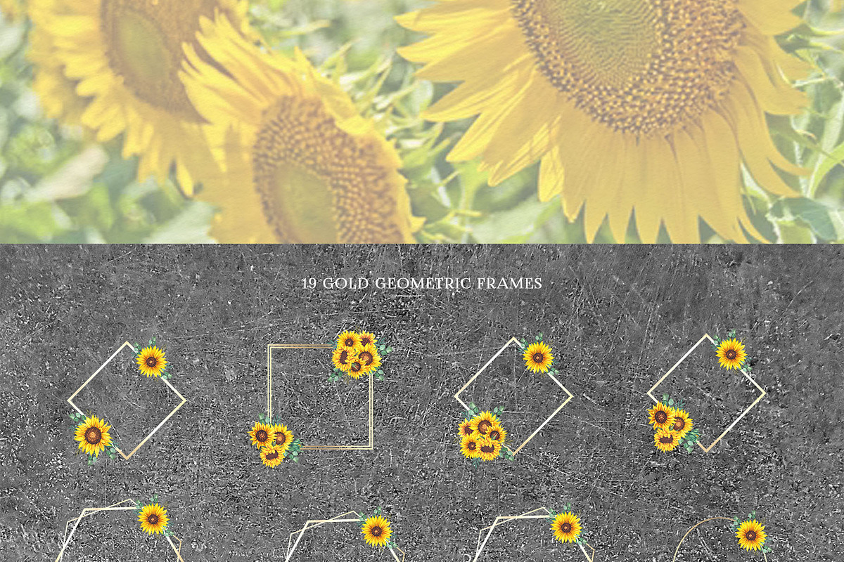 Watercolor Sunflowers Collection, an Illustration by CaraulanStore (Photo 8 of 9)
