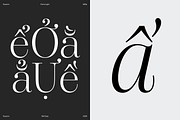 Dupioni - 6 font family, a Serif Font by Silktype (Thumbnail 18 of 21)