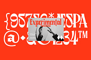 Archenia, a Blackletter Font by RNDI Type Foundry (Thumbnail 10 of 11)