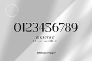 Reval - Modern Ligature Font, a Font by AndrewPixelType (Thumbnail 13 of 13)
