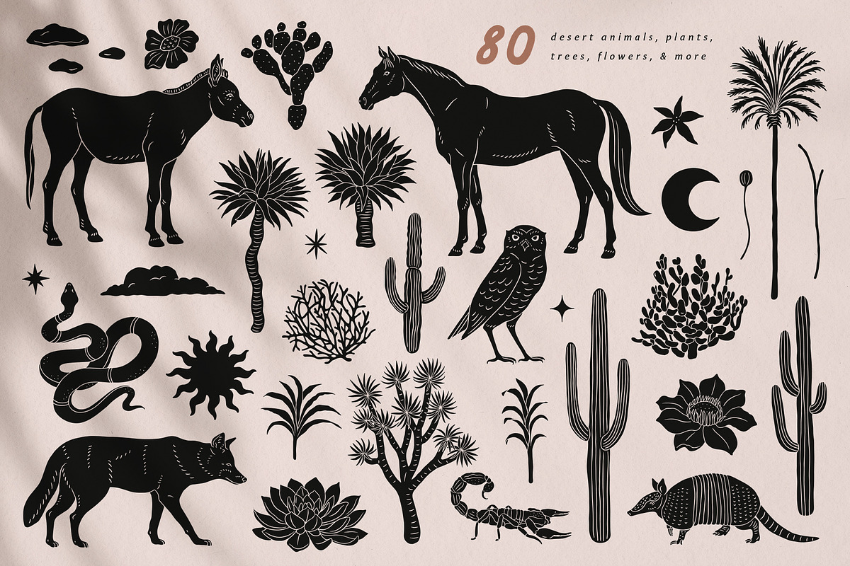 Dark Desert Vector Collection, an Animal Illustration by rouxsupplyco (Photo 7 of 14)