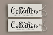 Holiday, a Handwritten Font by FreshTypeINK (Thumbnail 4 of 8)