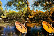 Misty Autumn Forest Presets, a Preset Add-On by AAA Presets (Thumbnail 6 of 13)