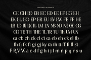 Sonice - Modern Luxury Font, a Serif Font by Vampstudio (Thumbnail 12 of 13)