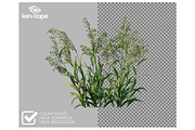 81 Farm Plants Photo Overlays, a Nature Photo by KenScape (Thumbnail 2 of 3)
