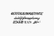 Frame mess, a Script Font by TKDoodle (Thumbnail 4 of 8)