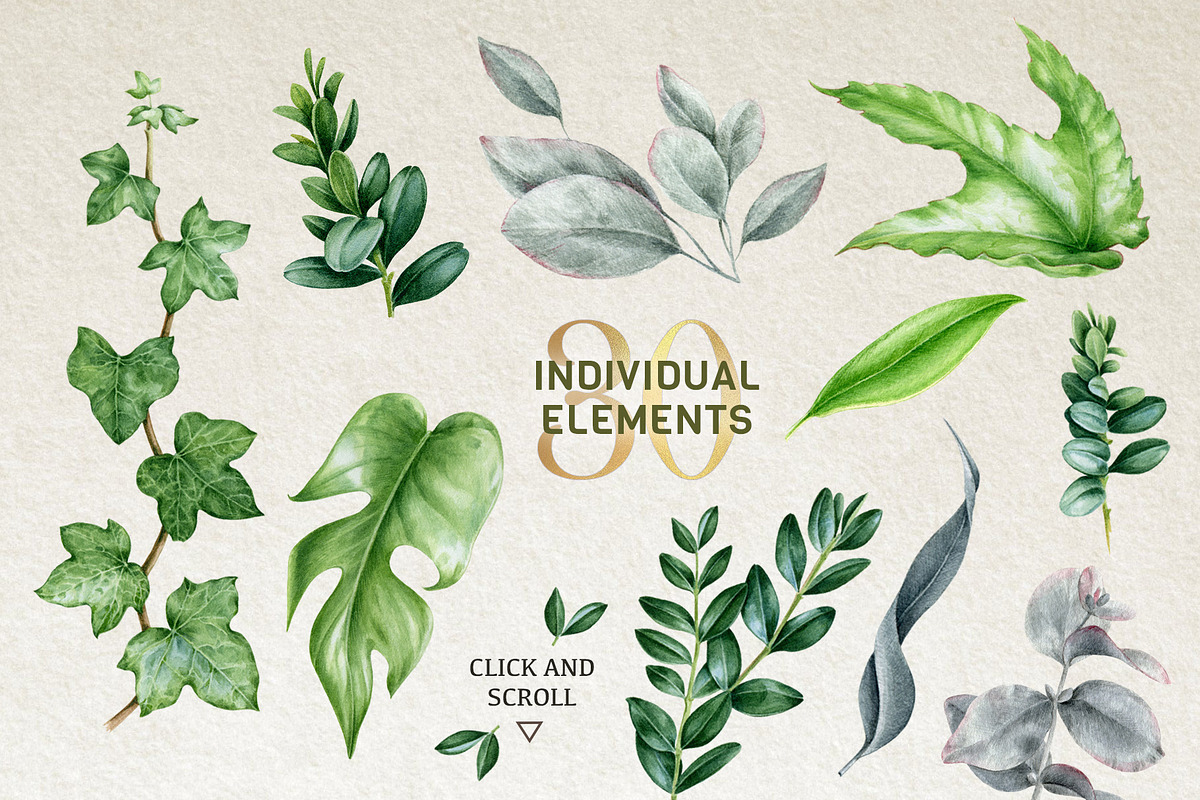 Botanical Greenery Clipart Set, a Decorative Illustration by AnitaPol (Photo 2 of 13)