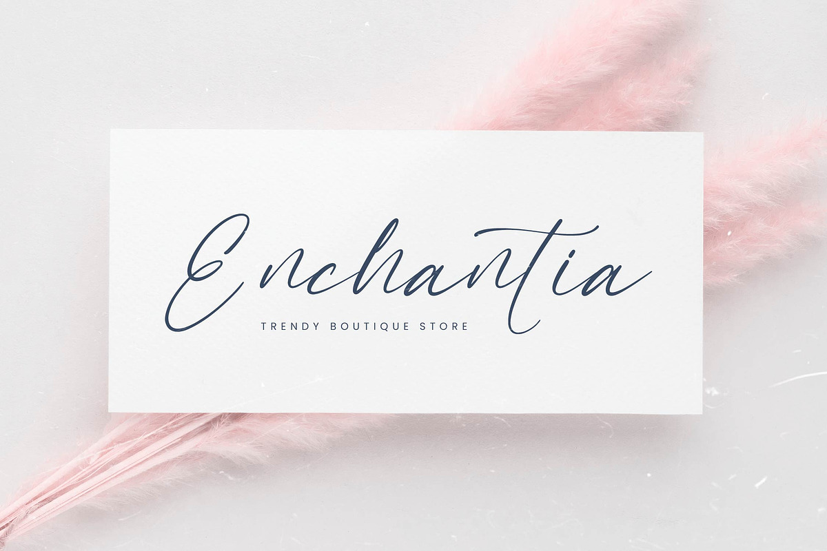 Mandyta Oliver Freestyle Stylish, a Script Font by Letterena Studios Script (Photo 4 of 15)