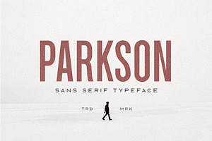 Parkson Sans Serif - 18 Fonts