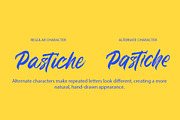 Pastiche – Handwritten Brush Font, a Handwritten Font by MERCI STUDIO (Thumbnail 6 of 8)
