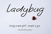 Ladybug, a Sans Serif Font by AMINMARIO (Thumbnail 1 of 9)