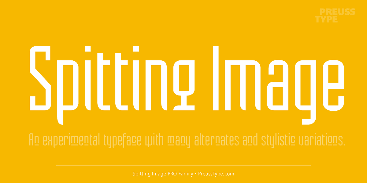 Spitting Image PRO, a Sans Serif Font by preussTYPE (Photo 1 of 9)