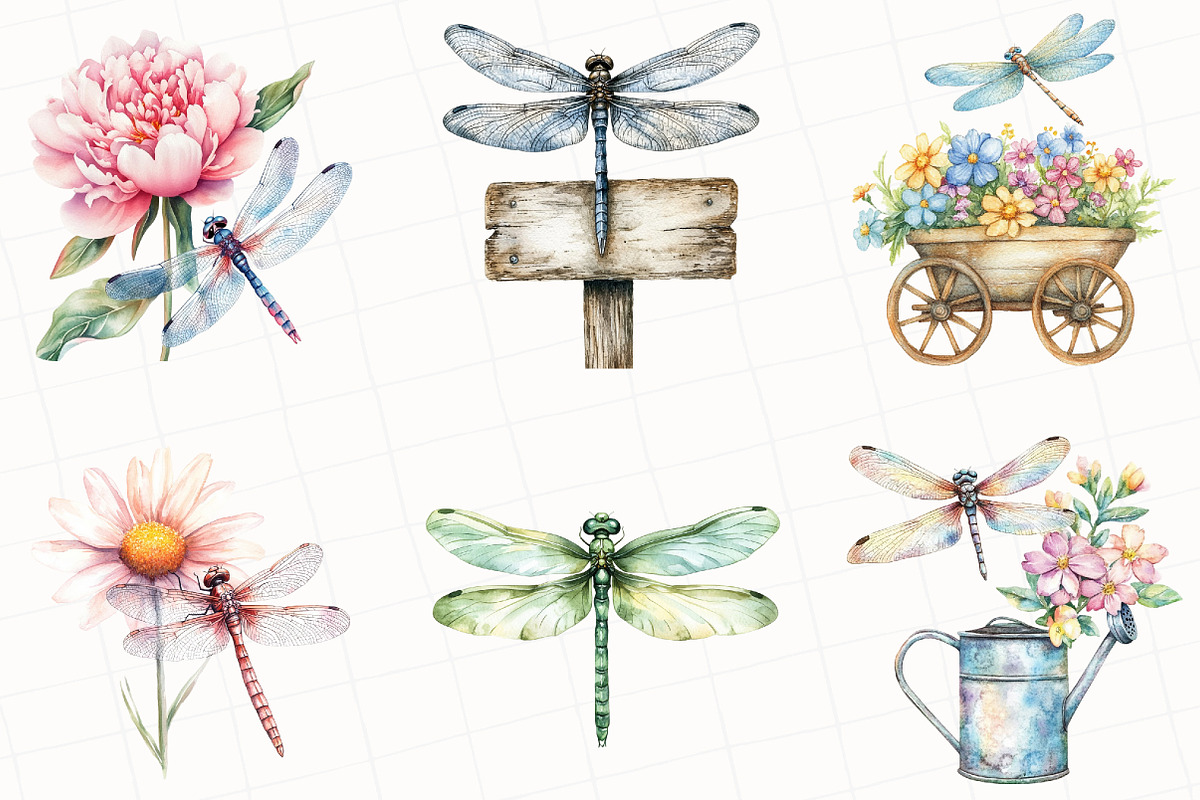 Summer Dragonfly Garden Clipart, an Illustration by OK Design (Photo 3 of 5)