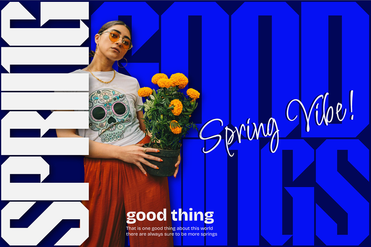Steel Anthem - Bold Display Font, a Sans Serif Font by Hakara Type (Photo 3 of 12)