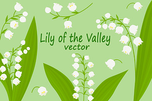 Iilies Of The Valley Flowers Vector