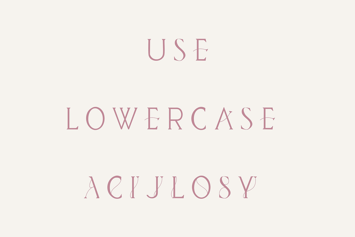 Daisy - Modern handwritten serif, a Serif Font by Sk designs (Photo 8 of 8)
