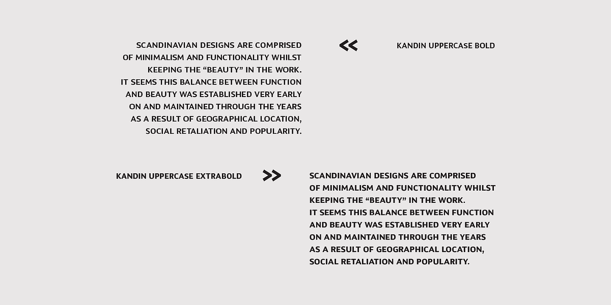 Kandin, a Sans Serif Font by Hashtag Type (Photo 6 of 9)