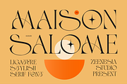 Maison Salome, a Serif Font by zeenesia (Thumbnail 1 of 16)