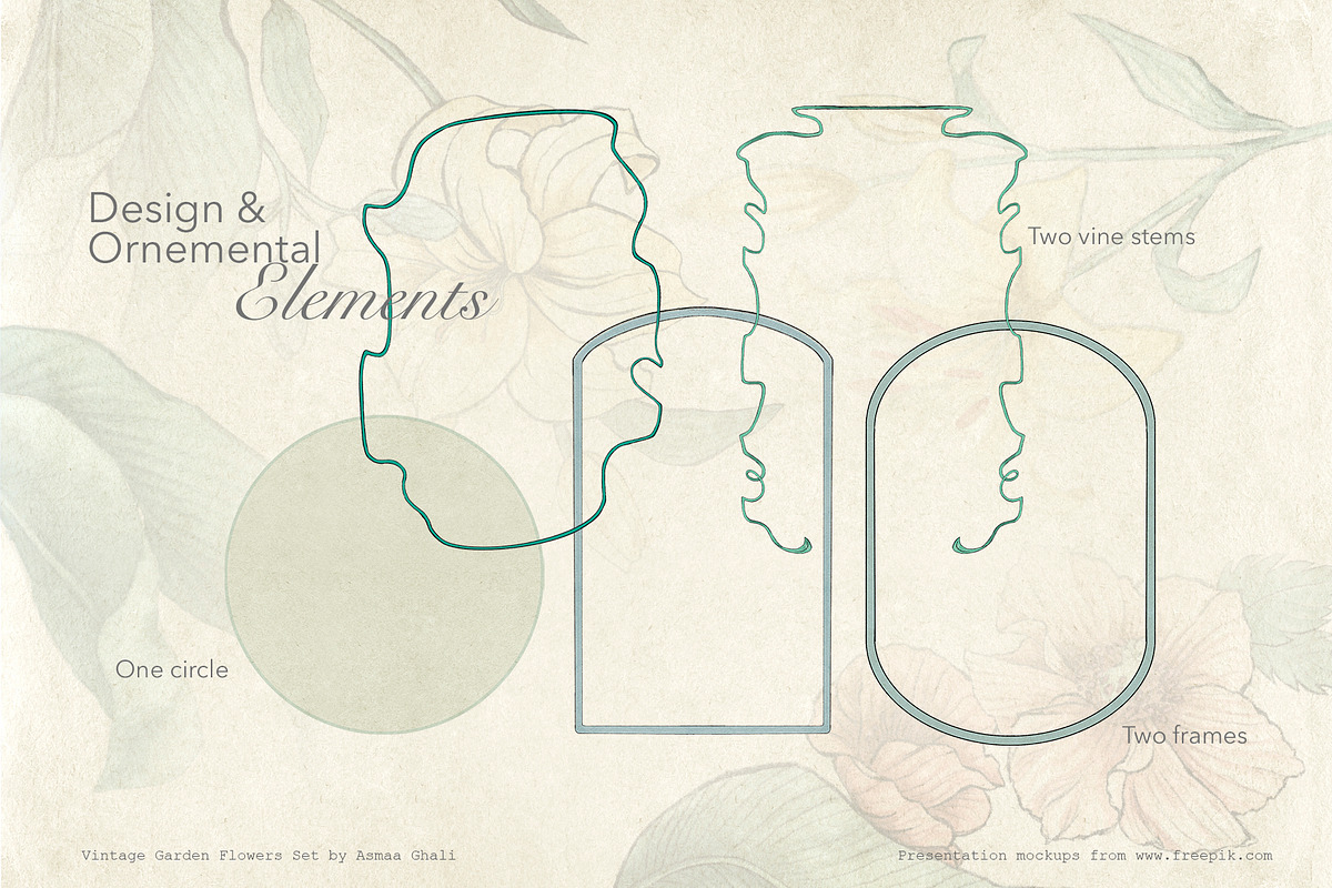 Vintage Garden Flowers, a Decorative Illustration by Evenif (Photo 11 of 22)